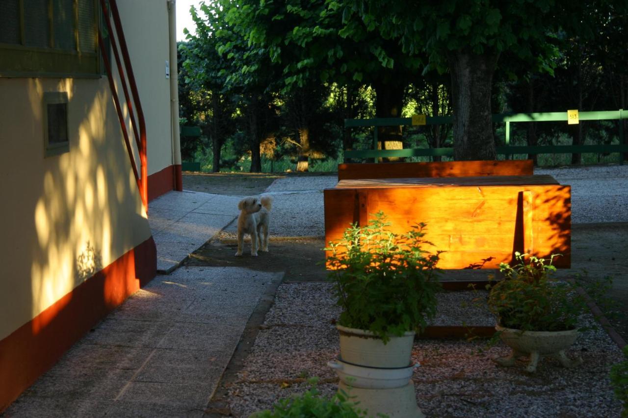 Villa Lilli 2 Ferrara Exterior photo